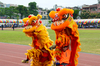 DSC_7154.jpg