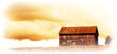 top_header_pic.jpg